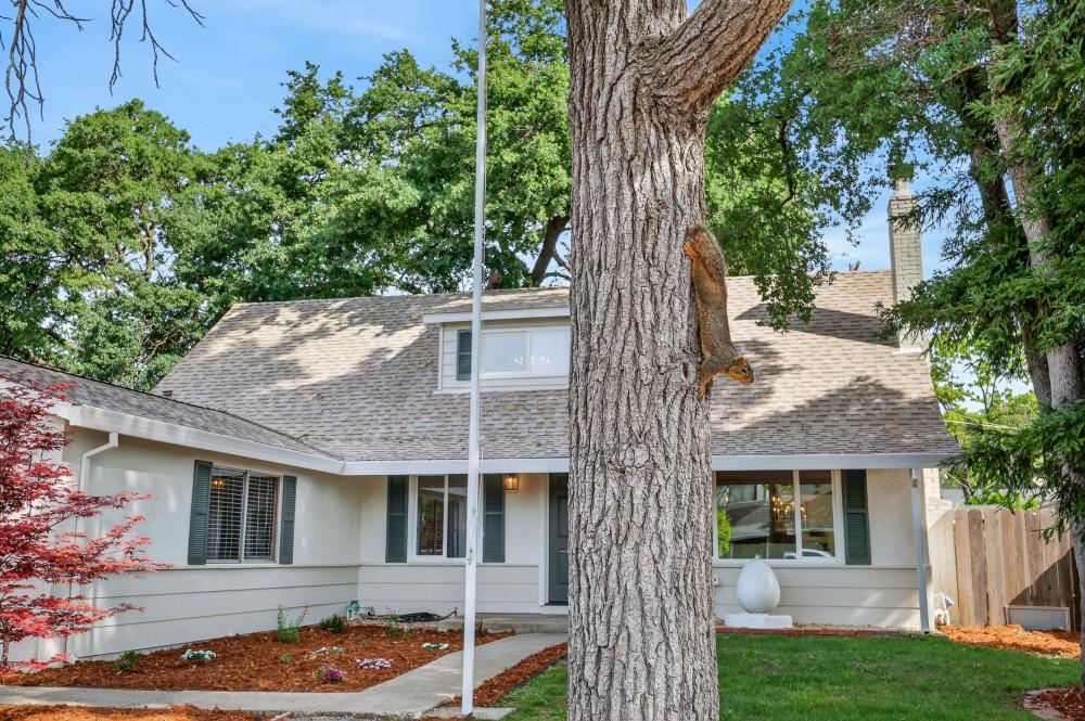 9641 Tanglewood Circle