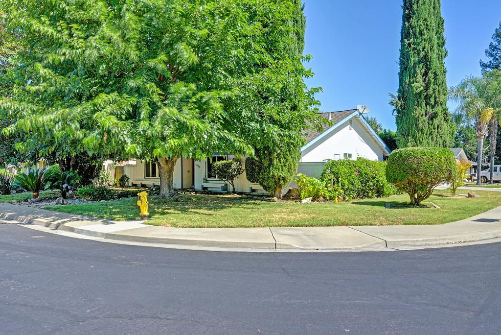 3029 Ironwood Way