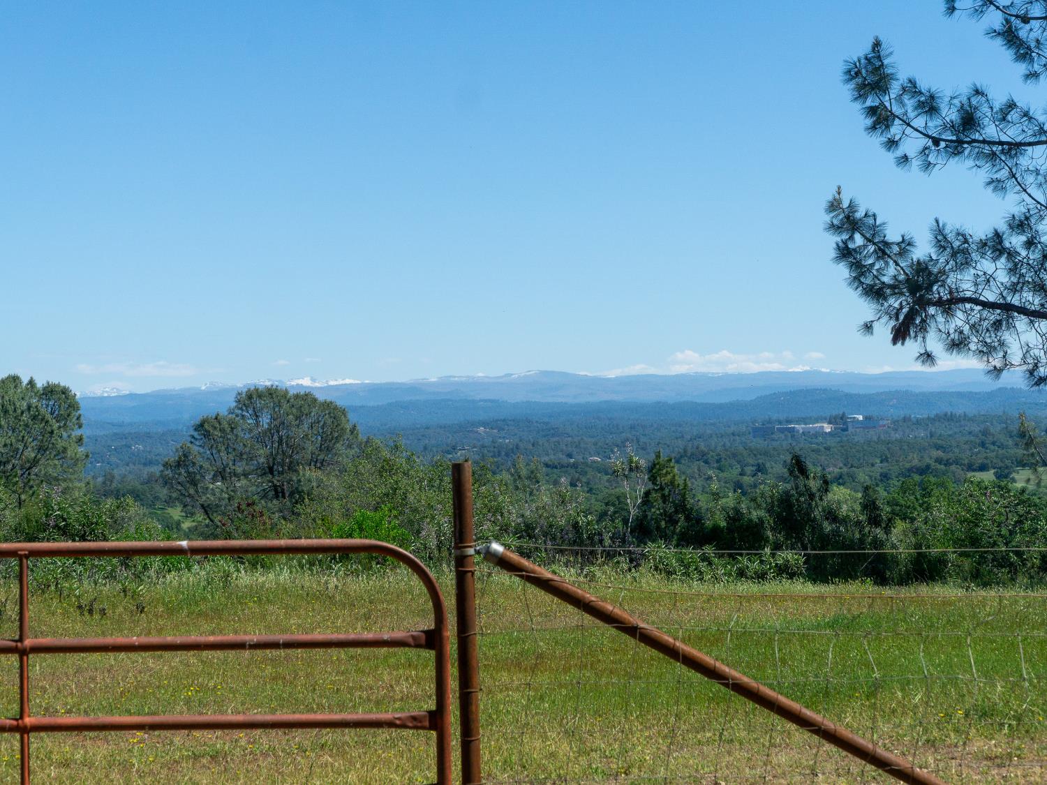 3924 Pine Cone Drive