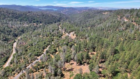 14818 Willow Glen Road Brownsville CA 95919