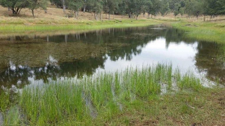 22422 E Hacienda Drive