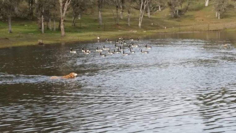 22422 E Hacienda Drive