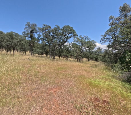HAZEN RD, MANTON, CA 96059 - Image 12c44fb9ce6d7c152fdf72bb02e73f9b/3748509904