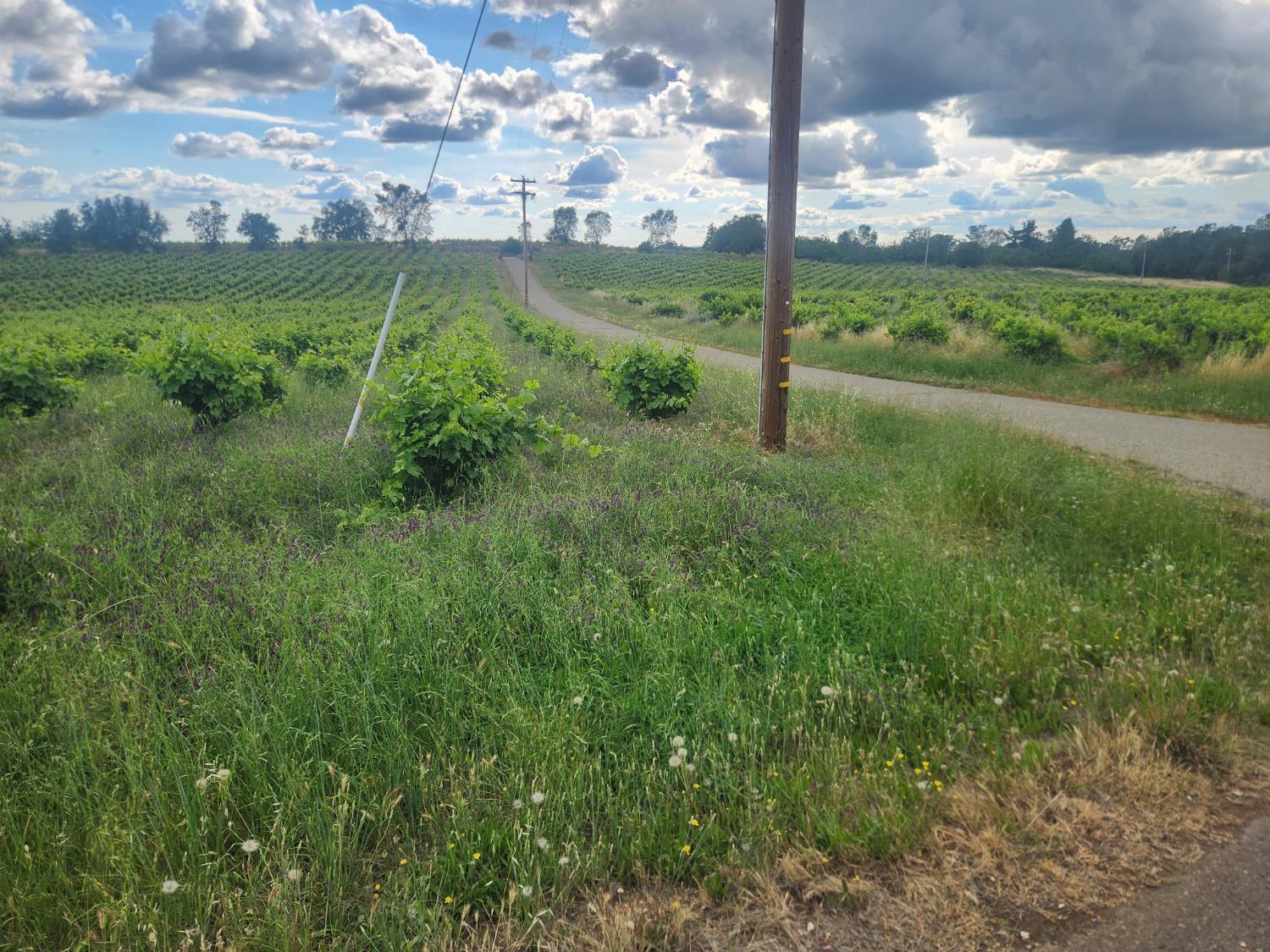 21424 Shenandoah School Road