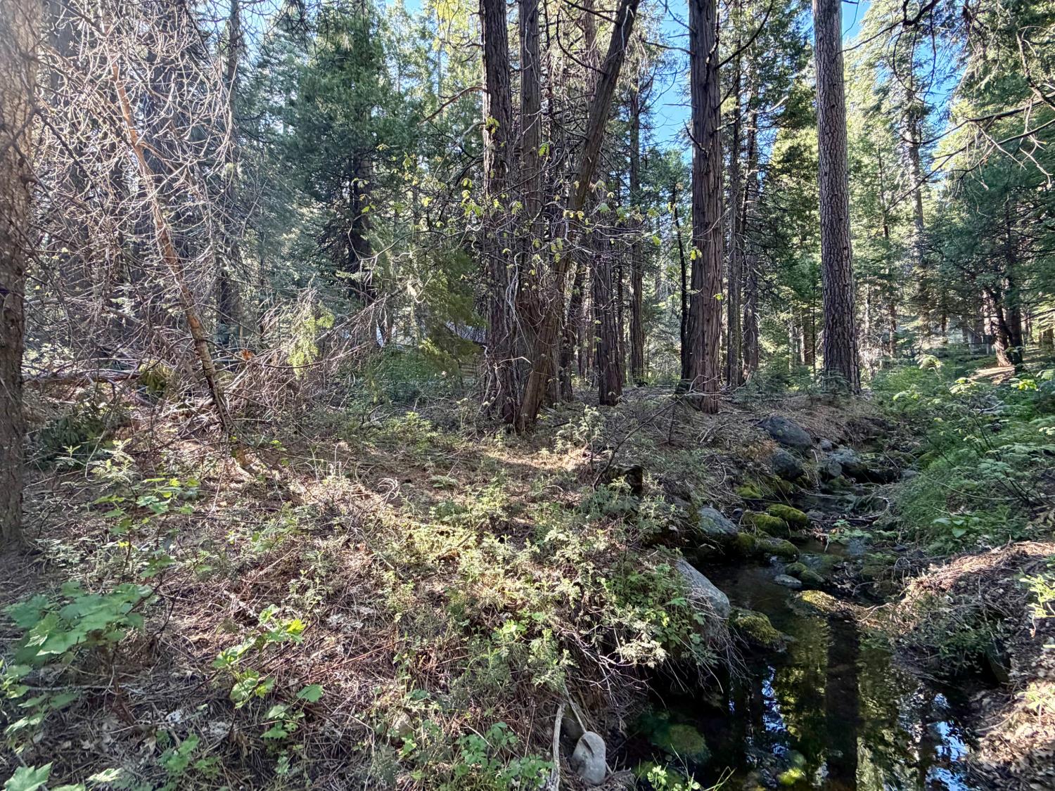 184 Creekside Drive