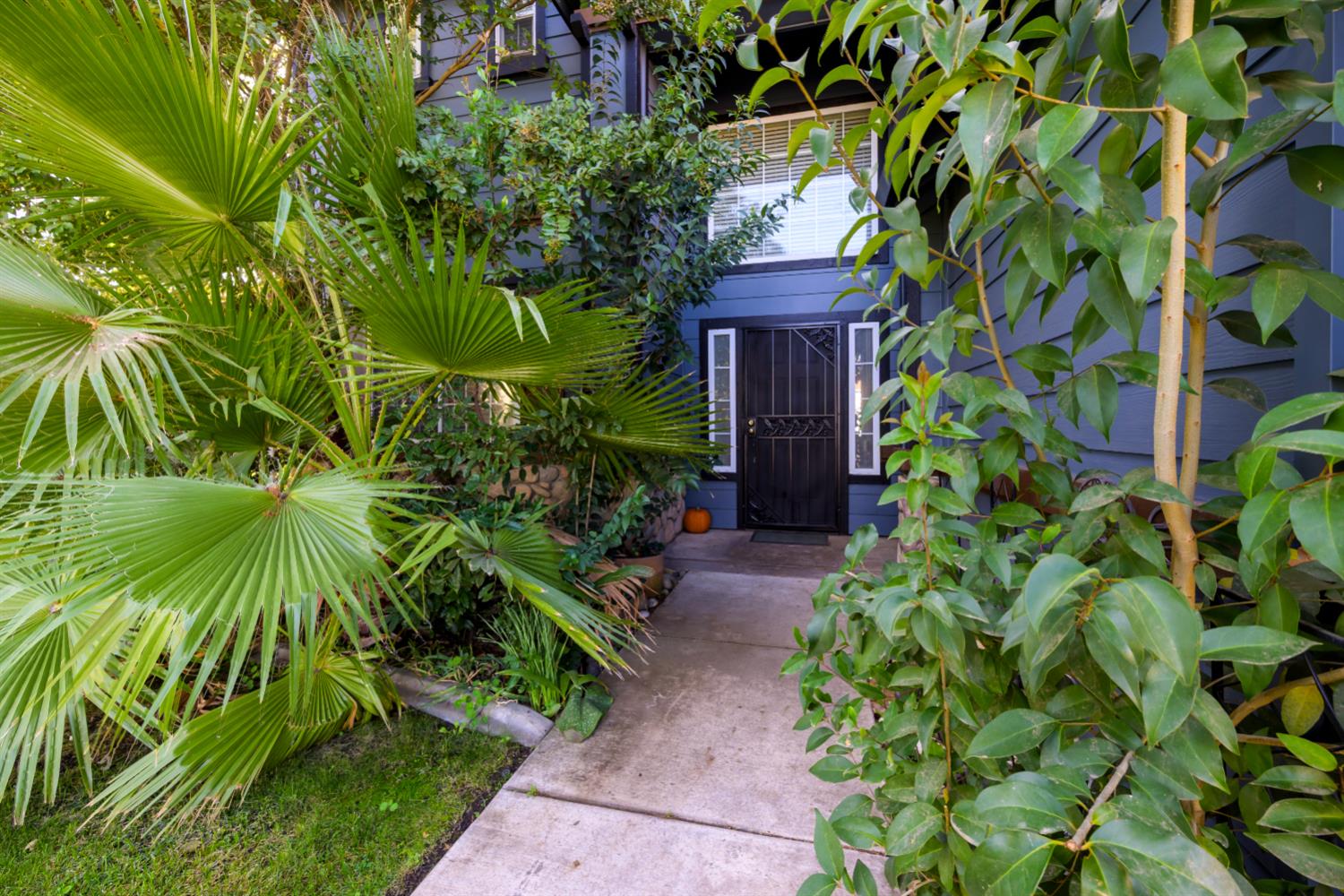 5316 countrybrook Lane