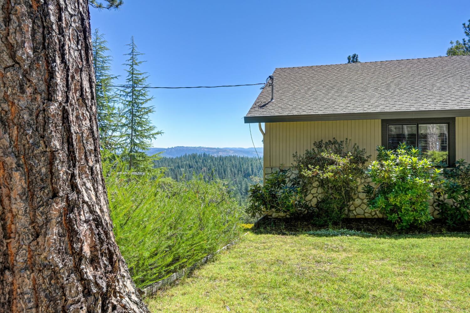 6435 Green Leaf Lane