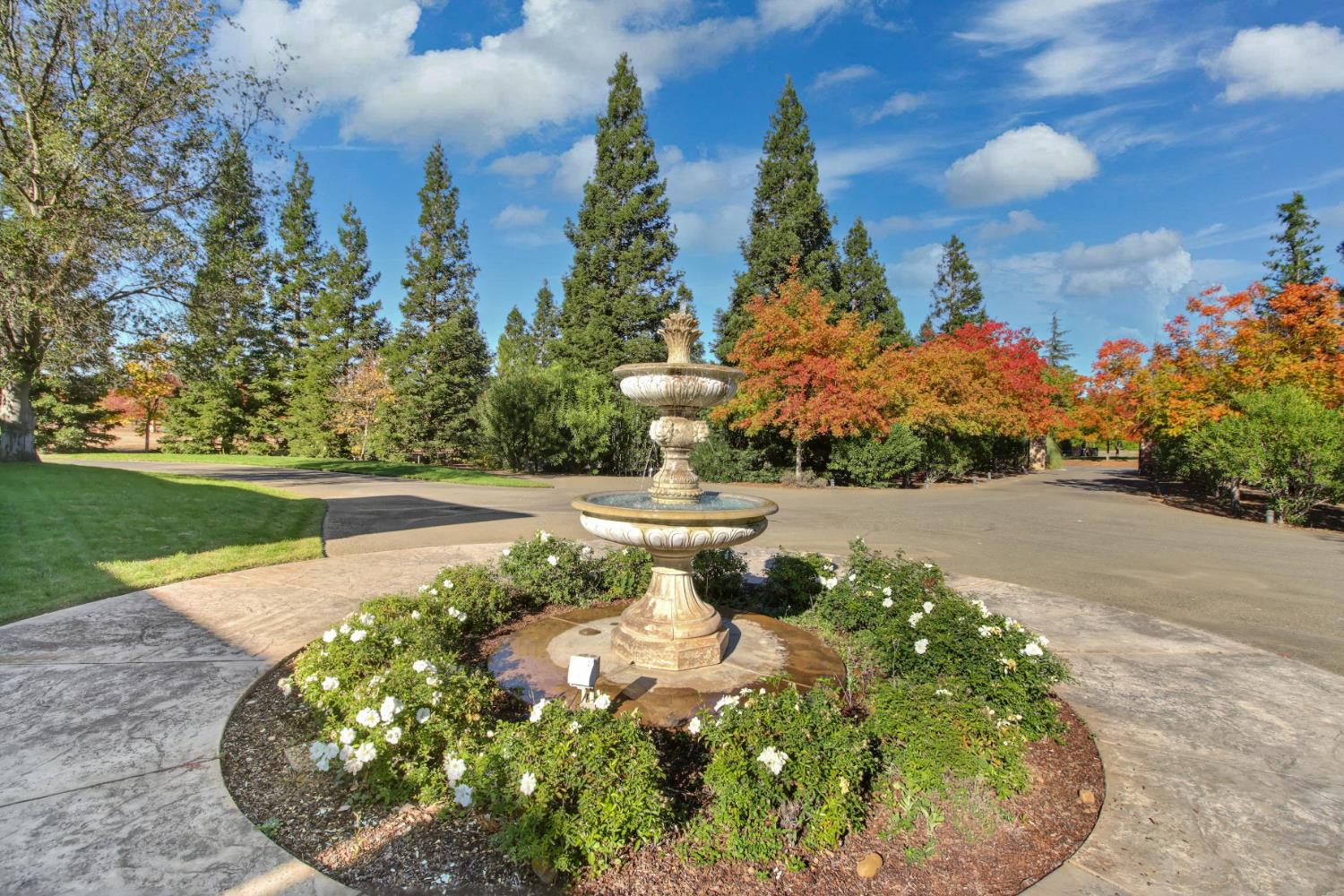 10638 Birch Ranch Drive