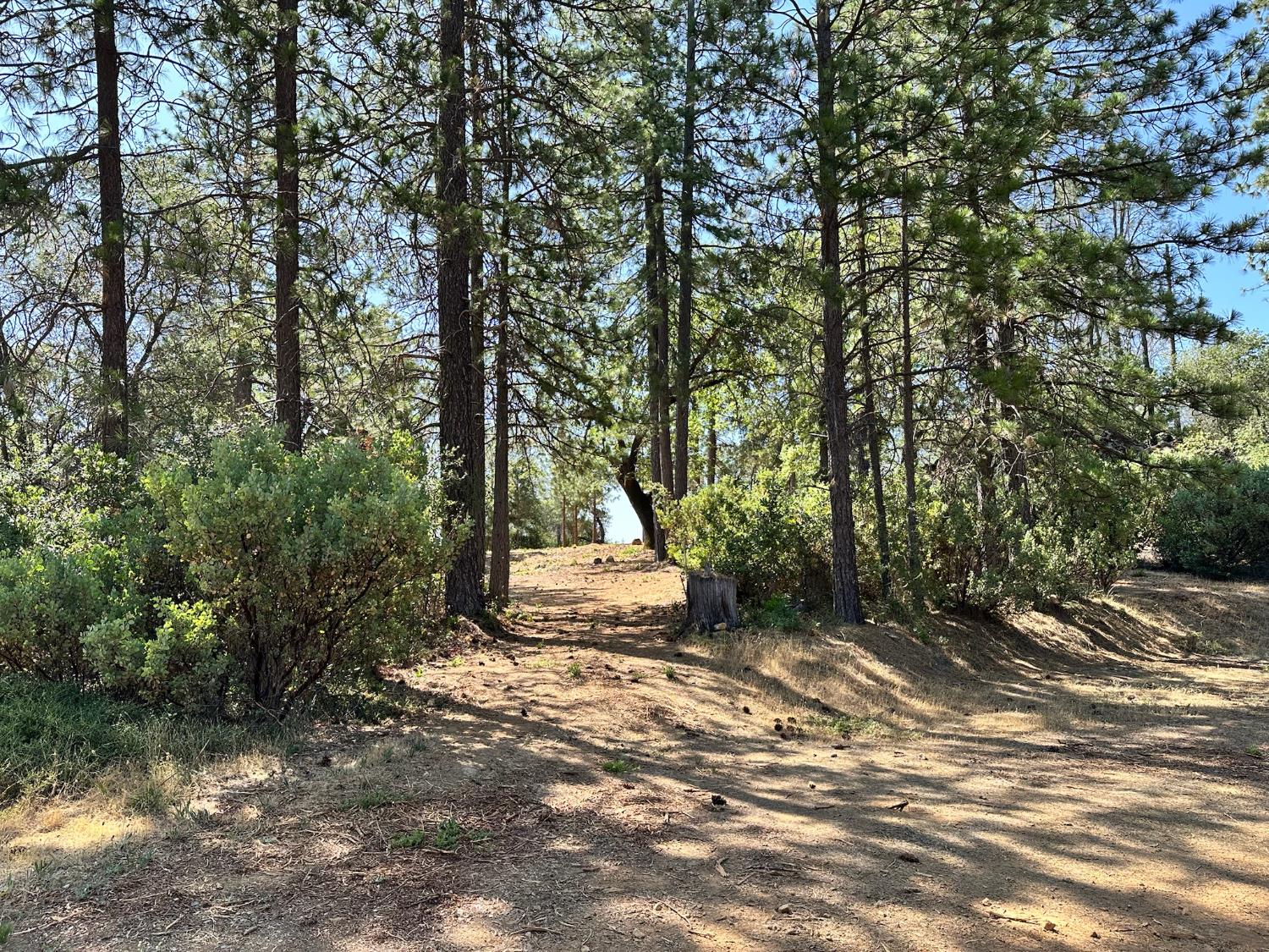 4013 Summit View Court