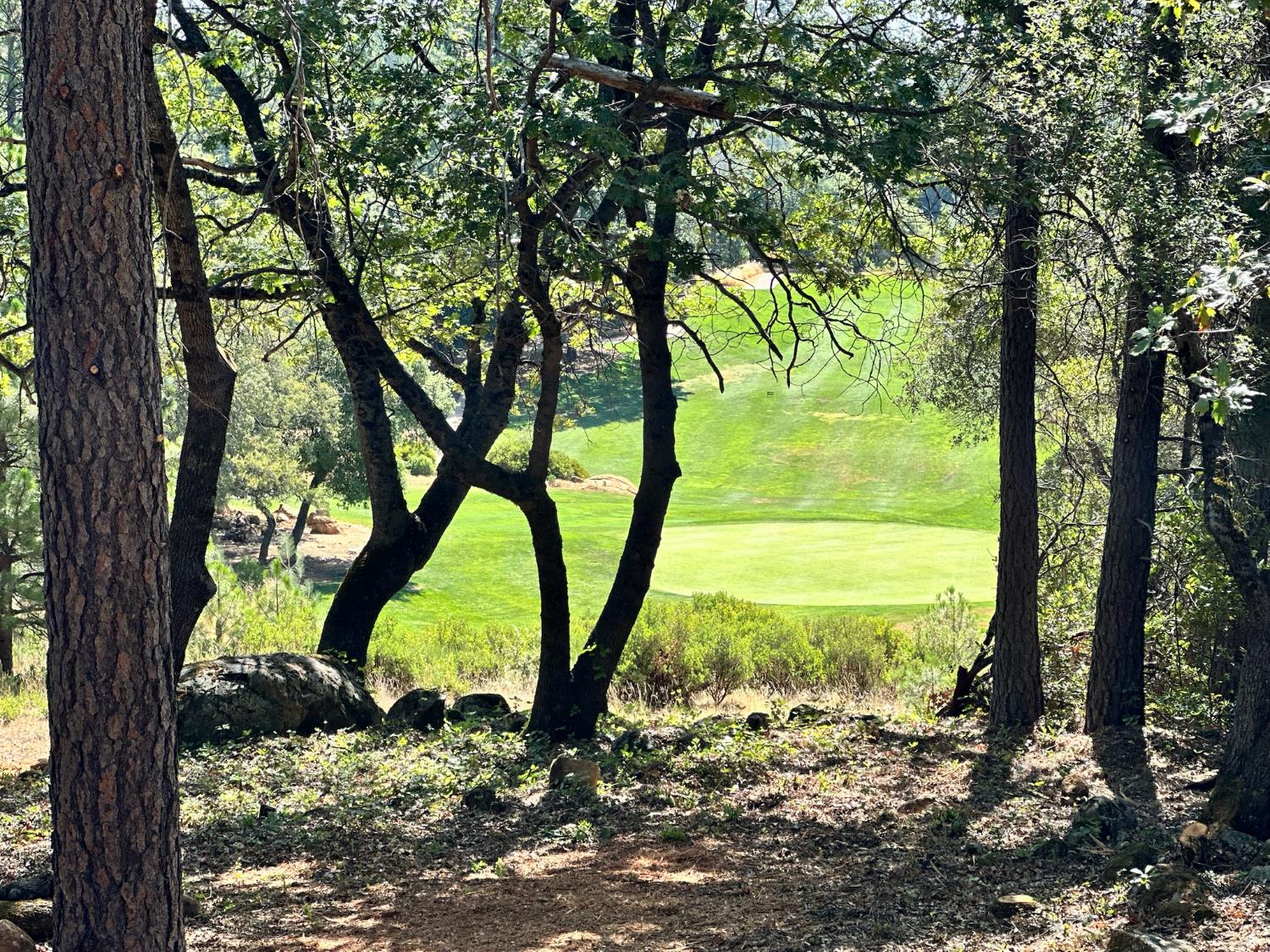 4013 Summit View Court