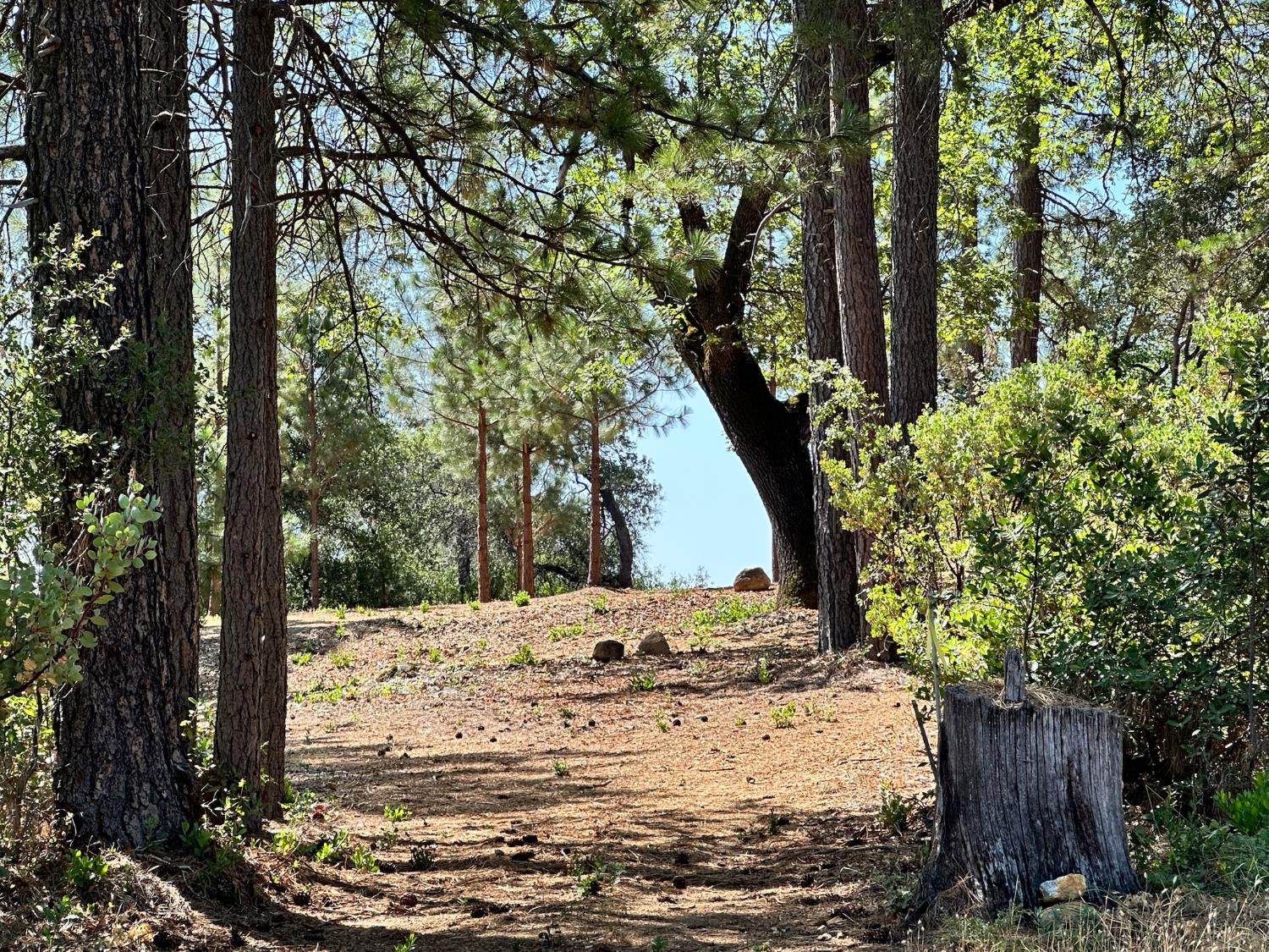 4013 Summit View Court