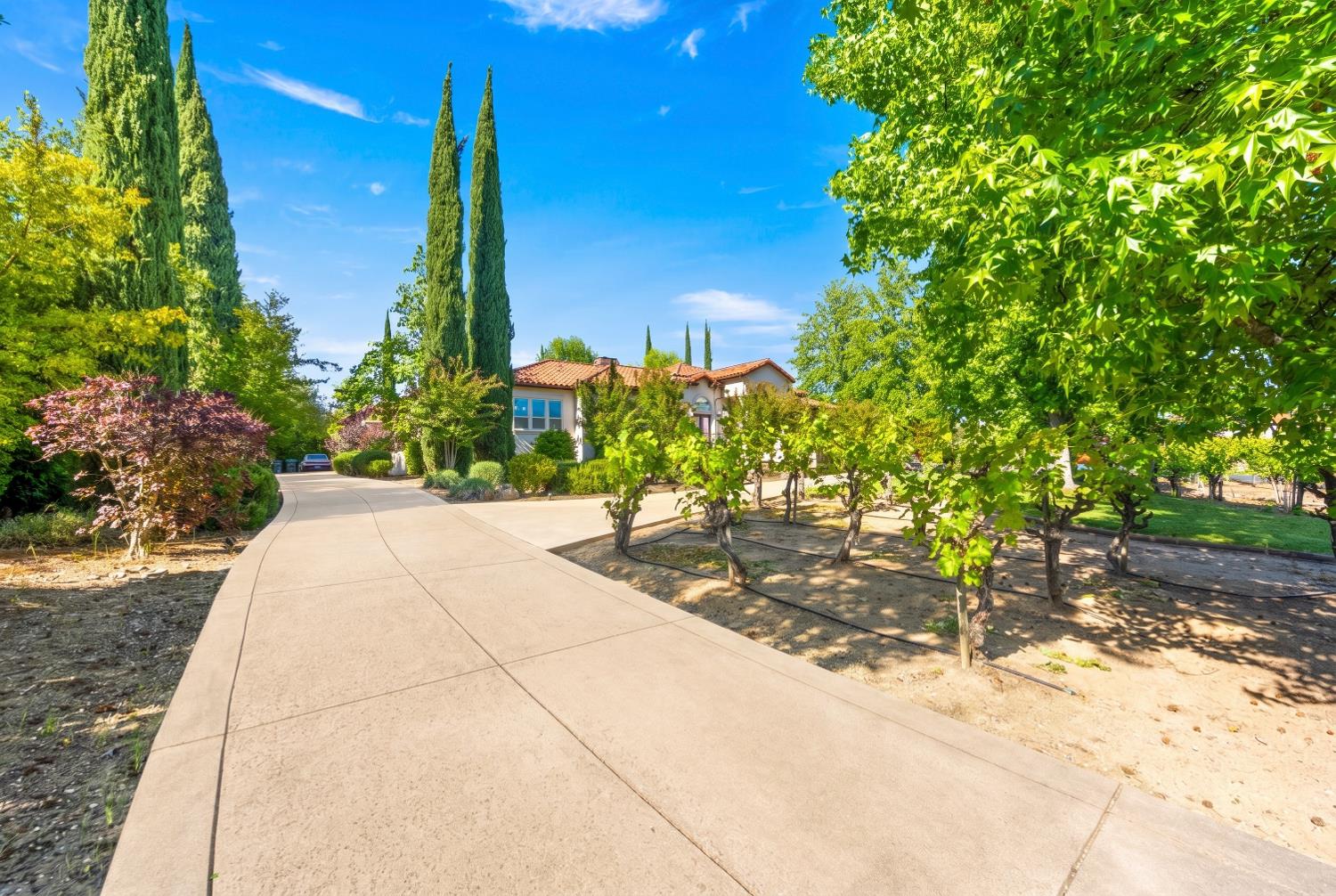 4300 Cognac Court