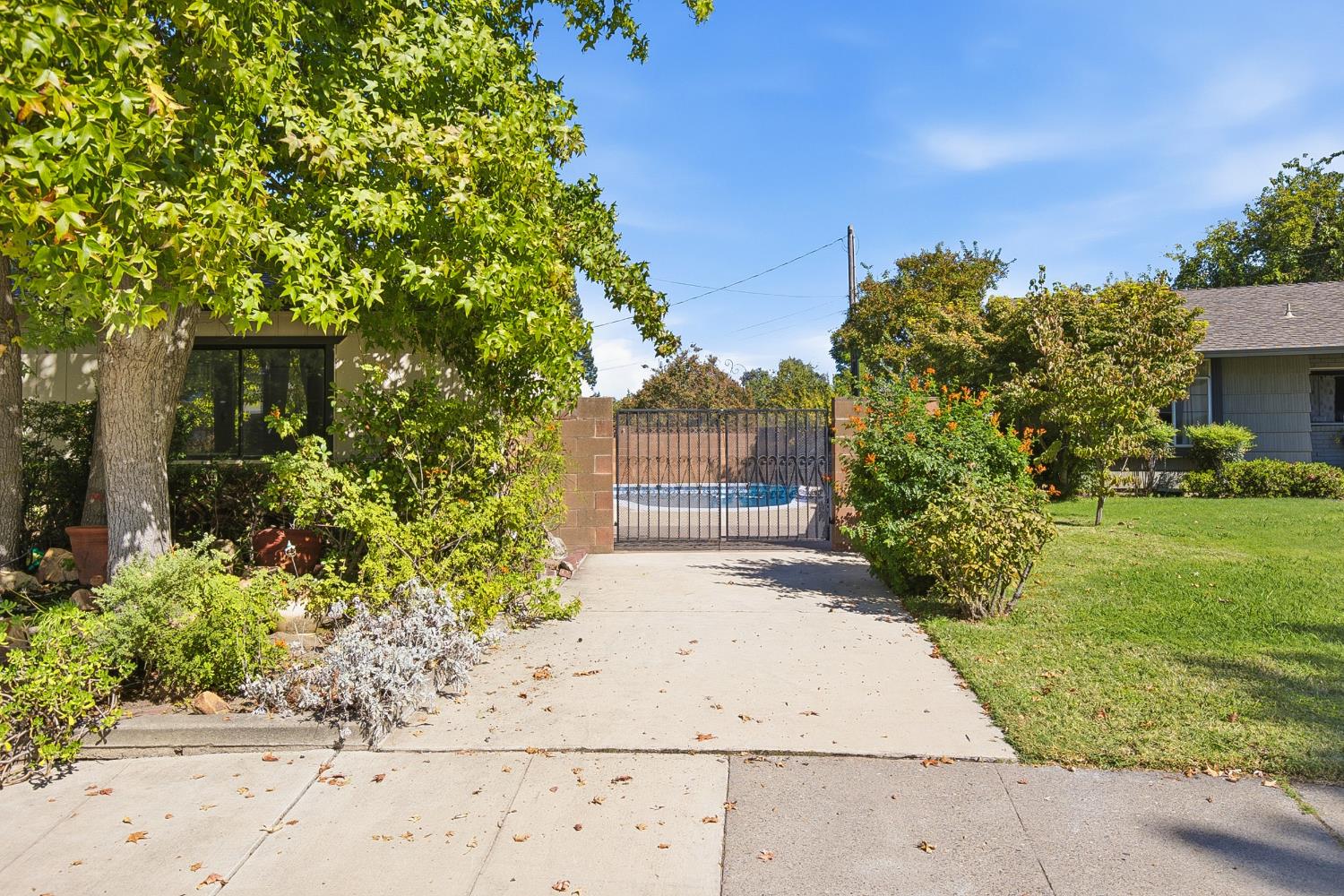 316 Evelyn Avenue
