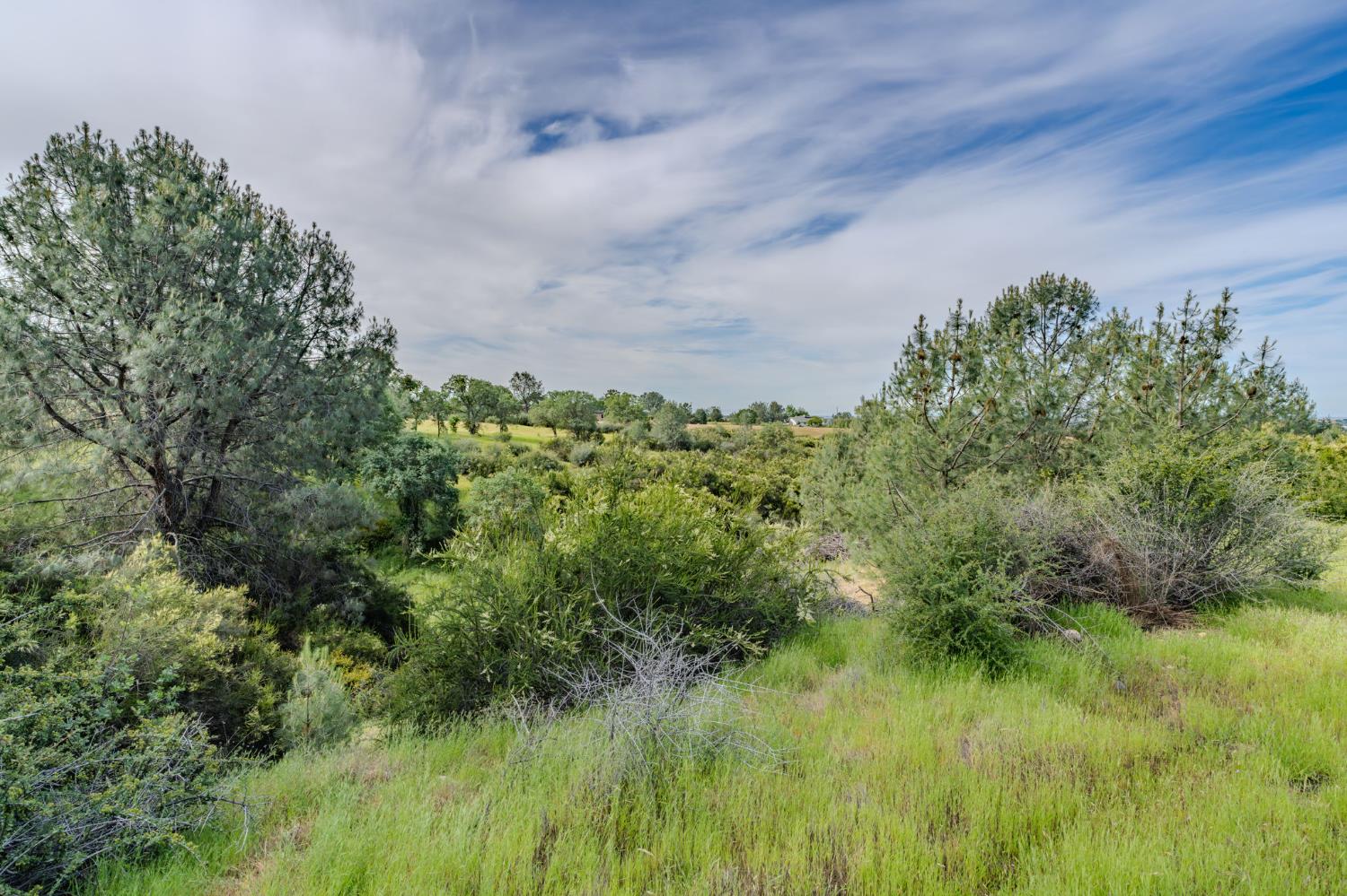 2980 Crestview Drive