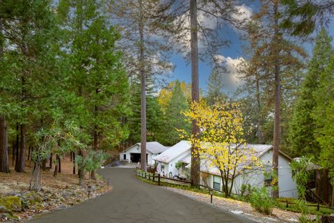 22861 Rocky Lane, Pioneer, CA 95666 - MLS#: 224113423