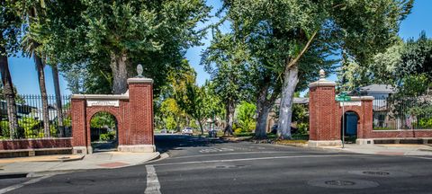 10 Palm Woodland CA 95695