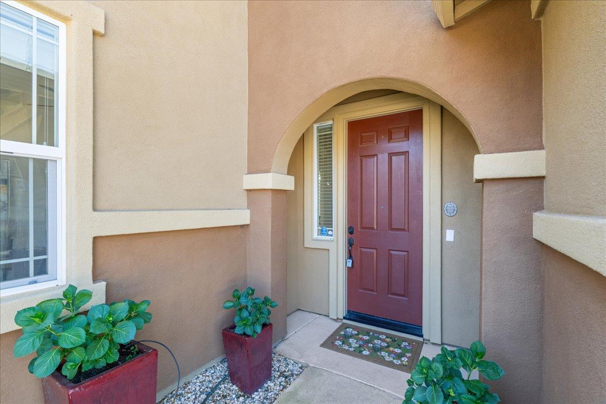 1325 Appaloosa Court