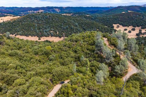 6652 Pappalardo Murphys CA 95247