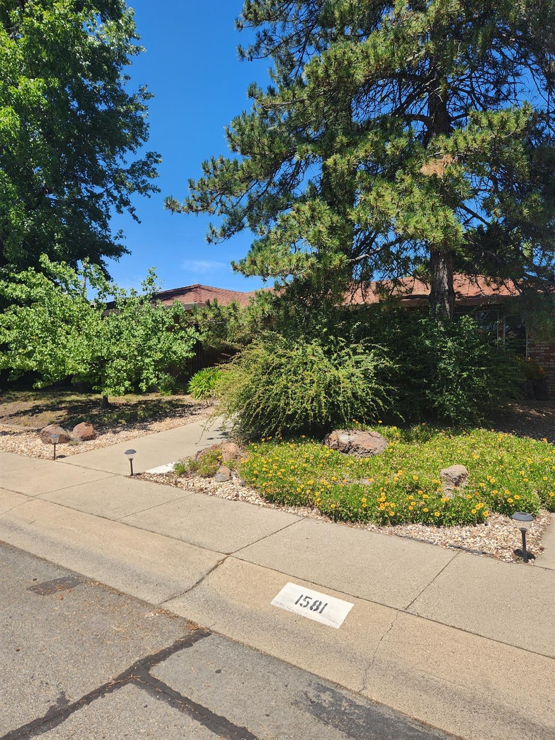 1581 Valley View Drive
