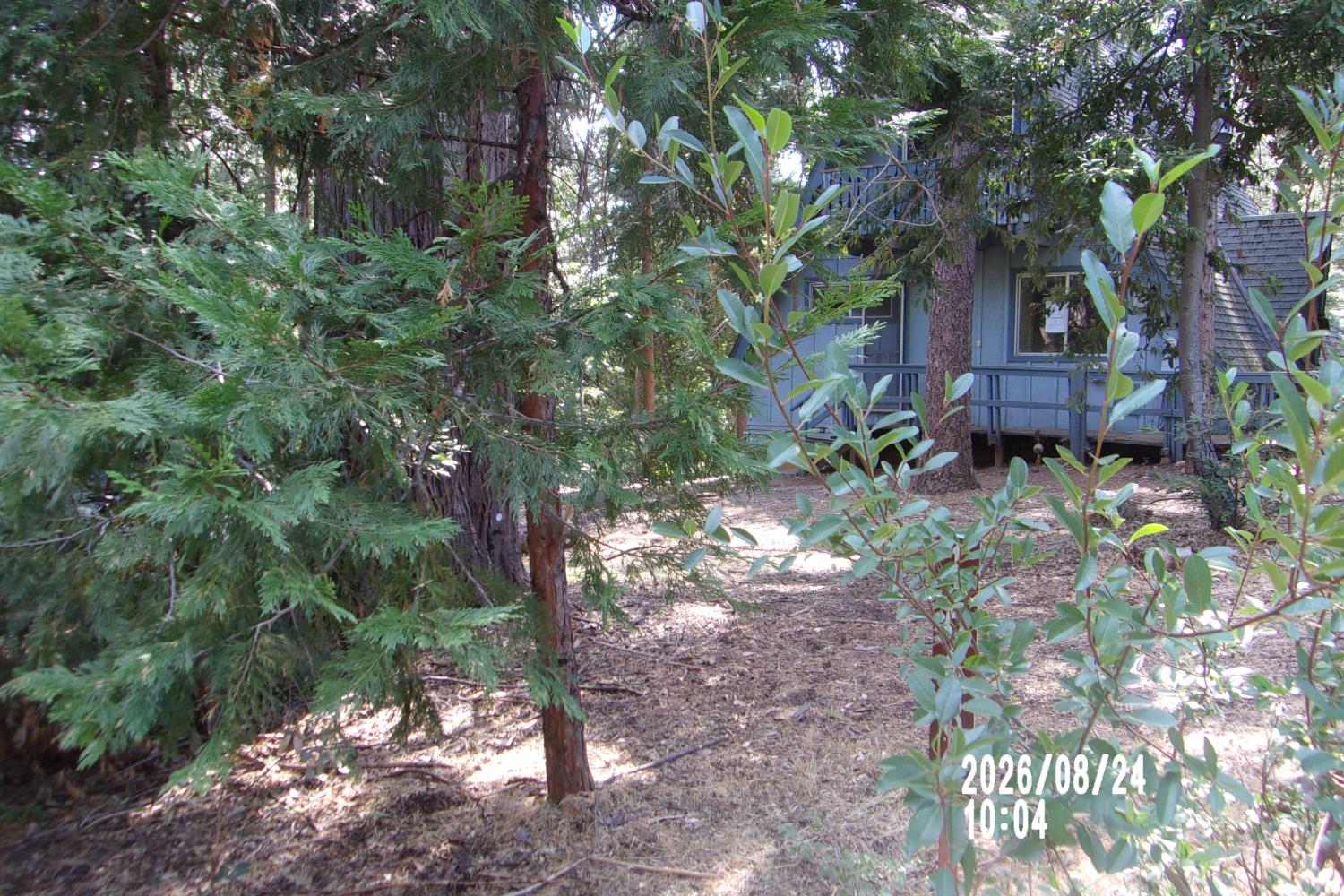 16686 Pasquale Road