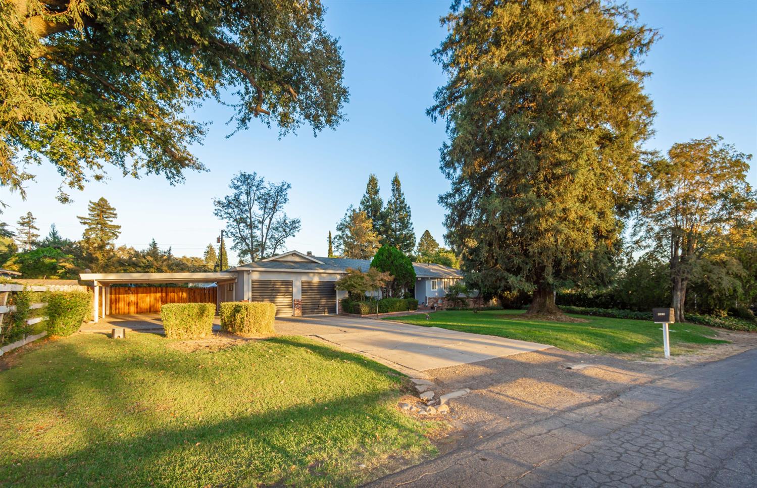 4620 Palomino Lane