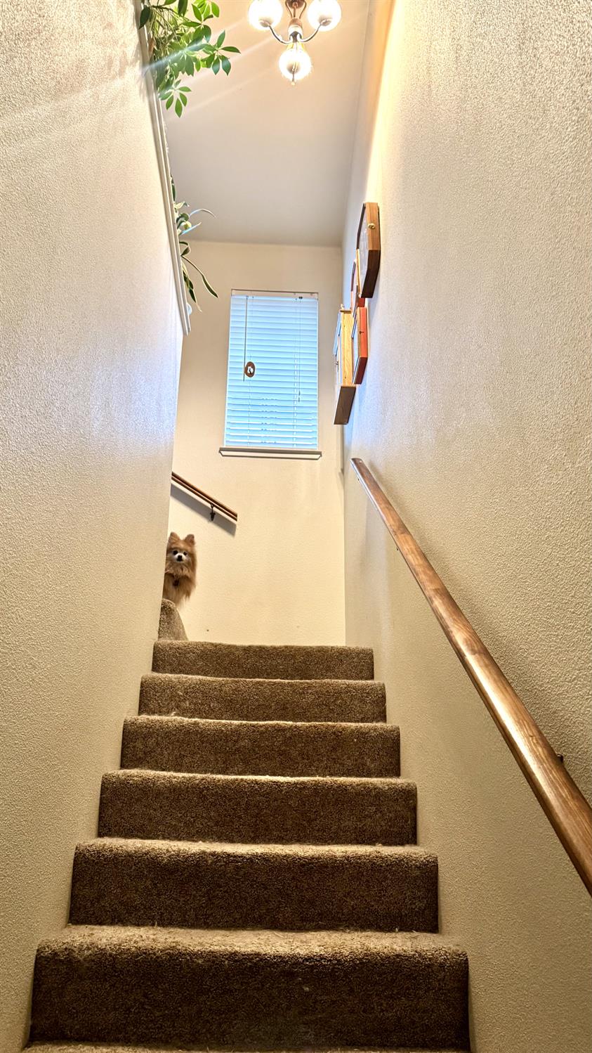 17057 Mountain Side Drive