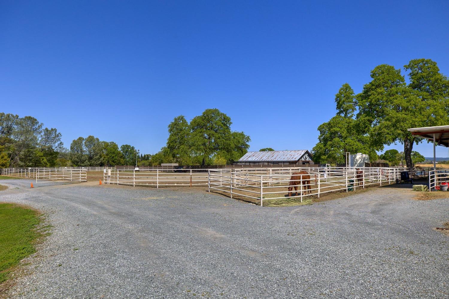 1140 Cold Springs Road