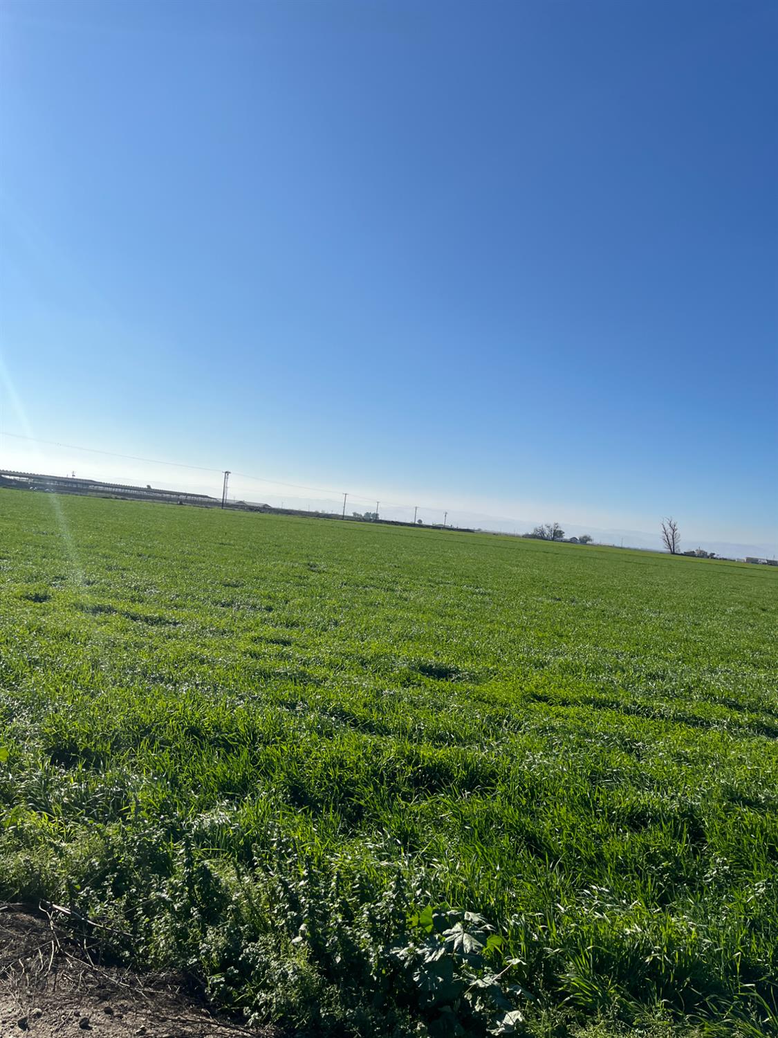 6425 S Prairie Flower Road