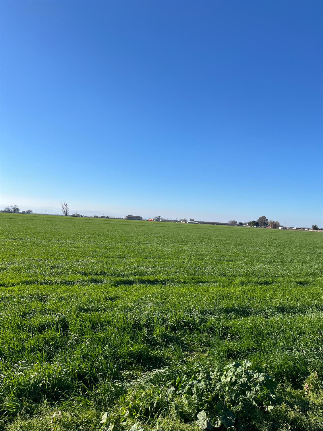 6425 S Prairie Flower Road