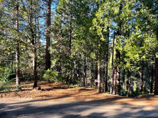22447 PONDEROSA DR, TWAIN HARTE, CA 95383 - Image 1b5ff2c994daa2f1b2d092bdafa903fd/898181988