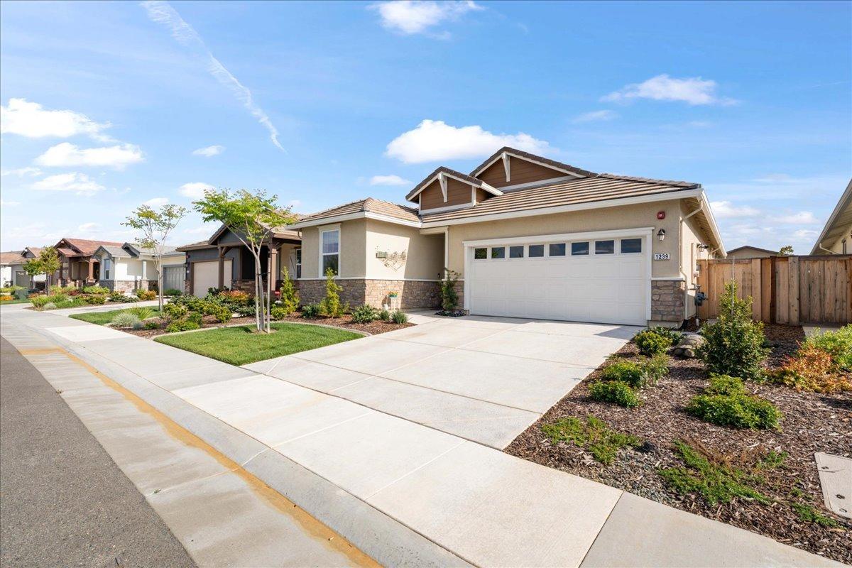1239 Cascade Way