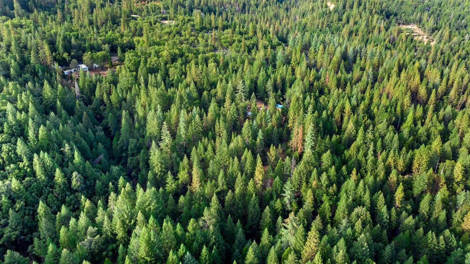 Nevada City, California 95959, United States, ,Land,Active,38078