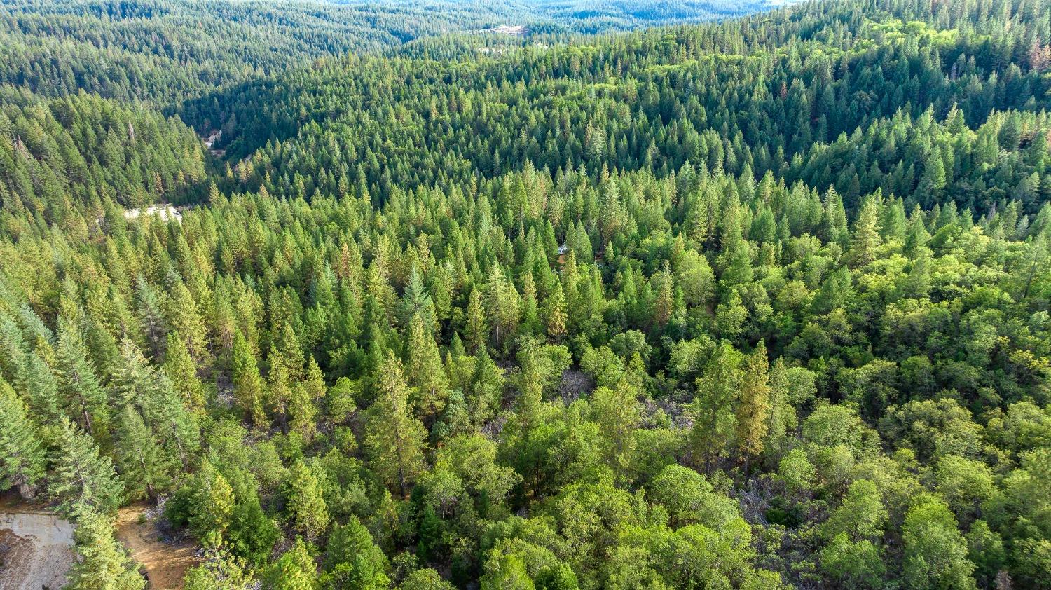 Nevada City, California 95959, United States, ,Land,Active,38078