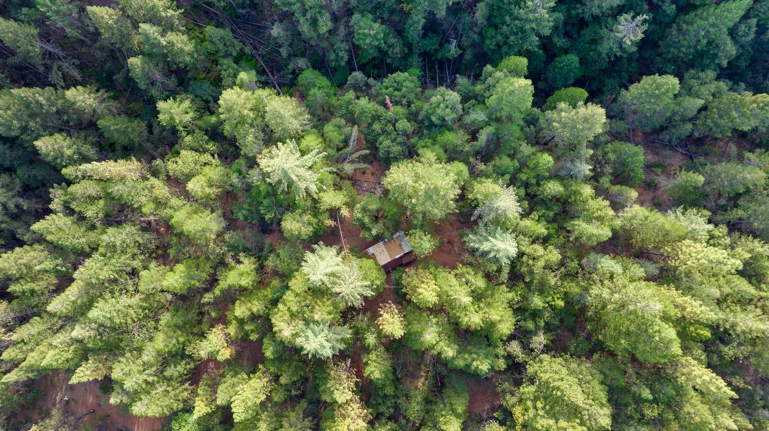 Nevada City, California 95959, United States, ,Land,Active,38078