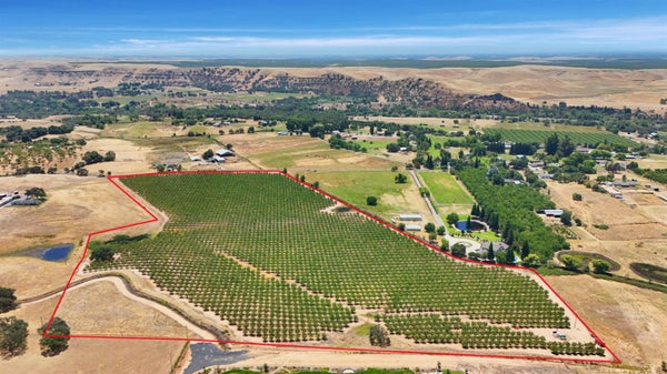 MORRISON RD, OAKDALE, CA 95361 - Image 1c86a5e77ff9089943852617b5dd3d4f/1756070623