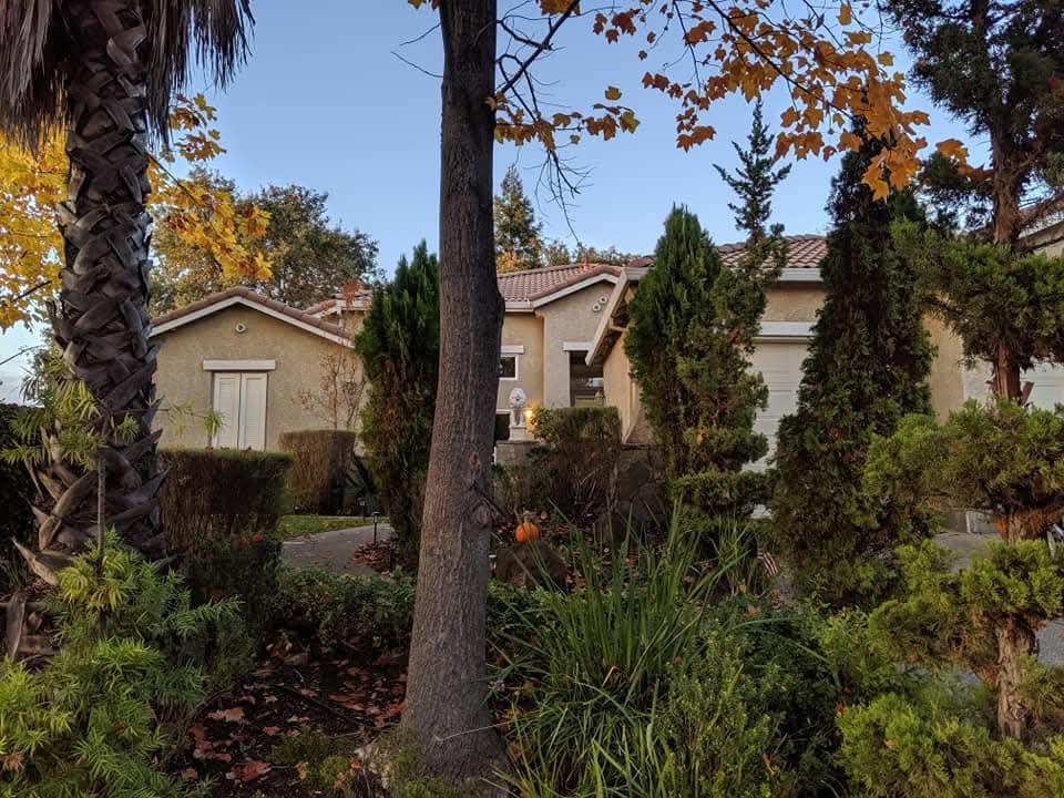 484 Caldarella Circle
