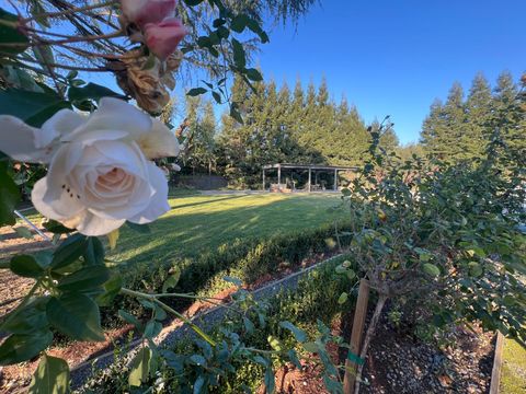 3955 Coffee 53 Modesto CA 95355