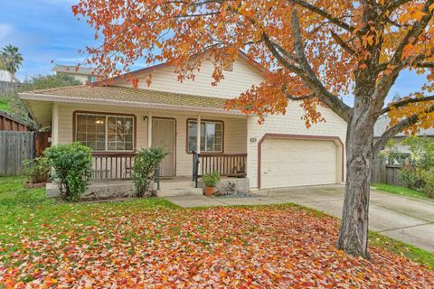 2310 Green Wing Lane Placerville CA 95667