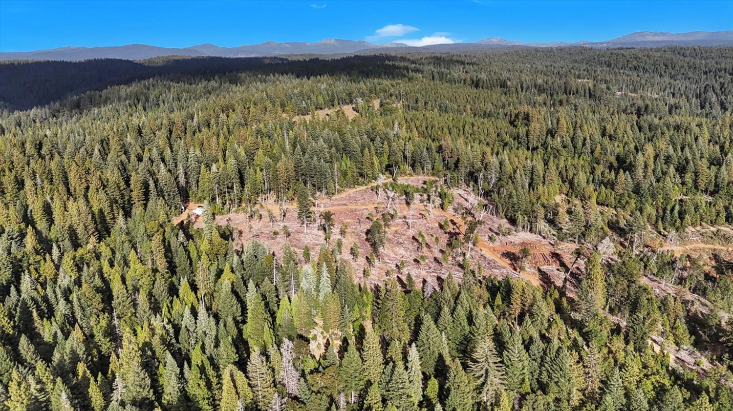 12683 Spider Hill Road