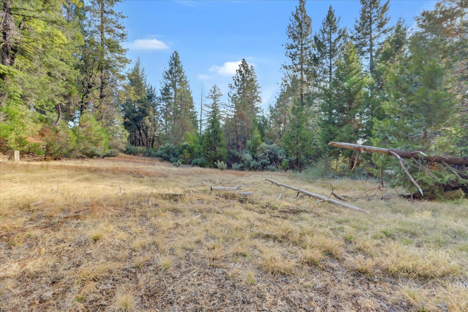 12683 Spider Hill Road