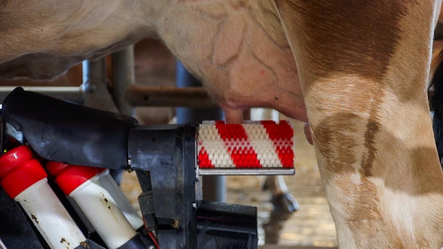 15453 E Monte Vista Avenue