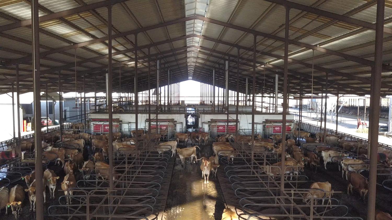 15453 E Monte Vista Avenue