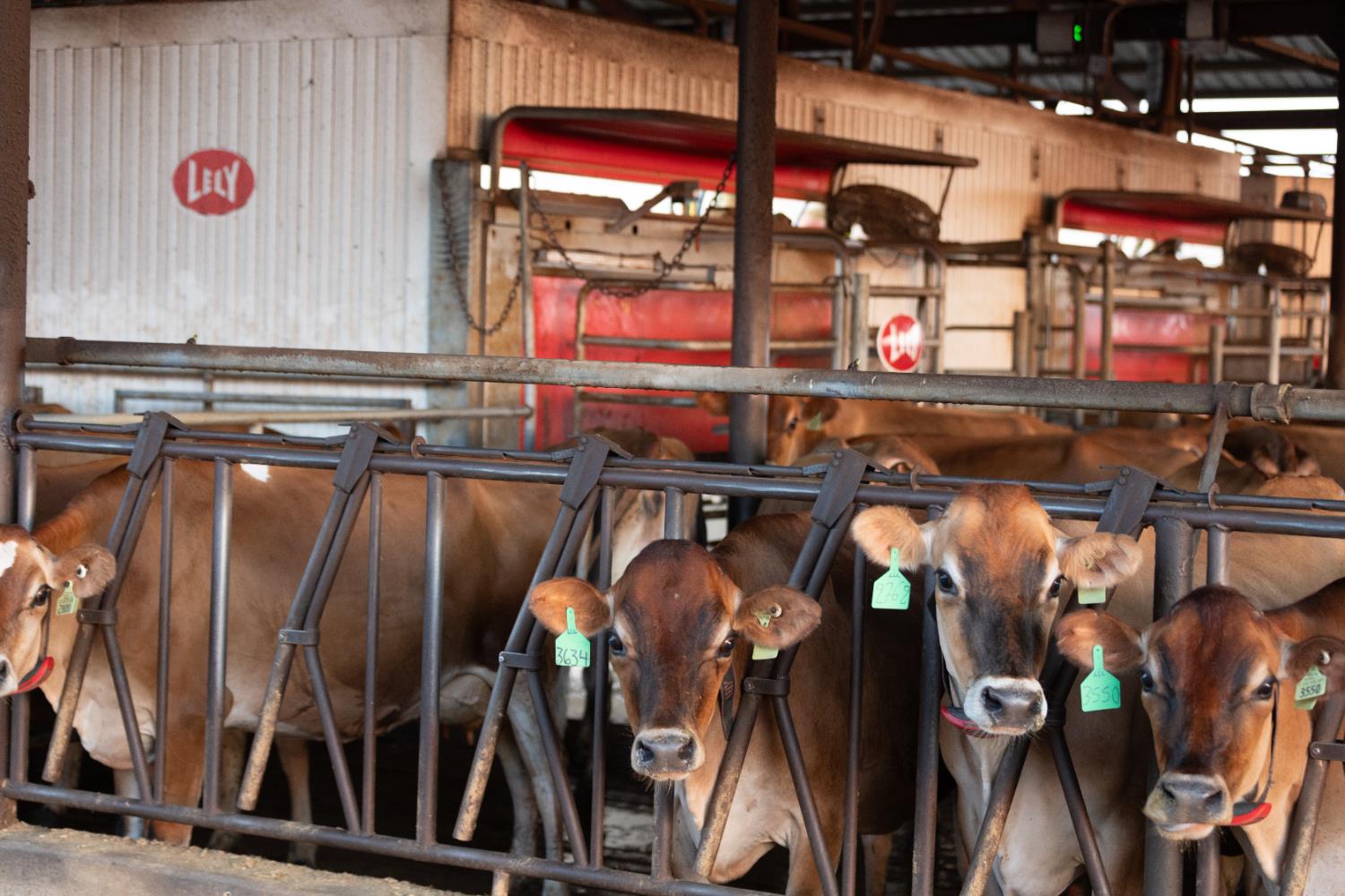 15453 E Monte Vista Avenue