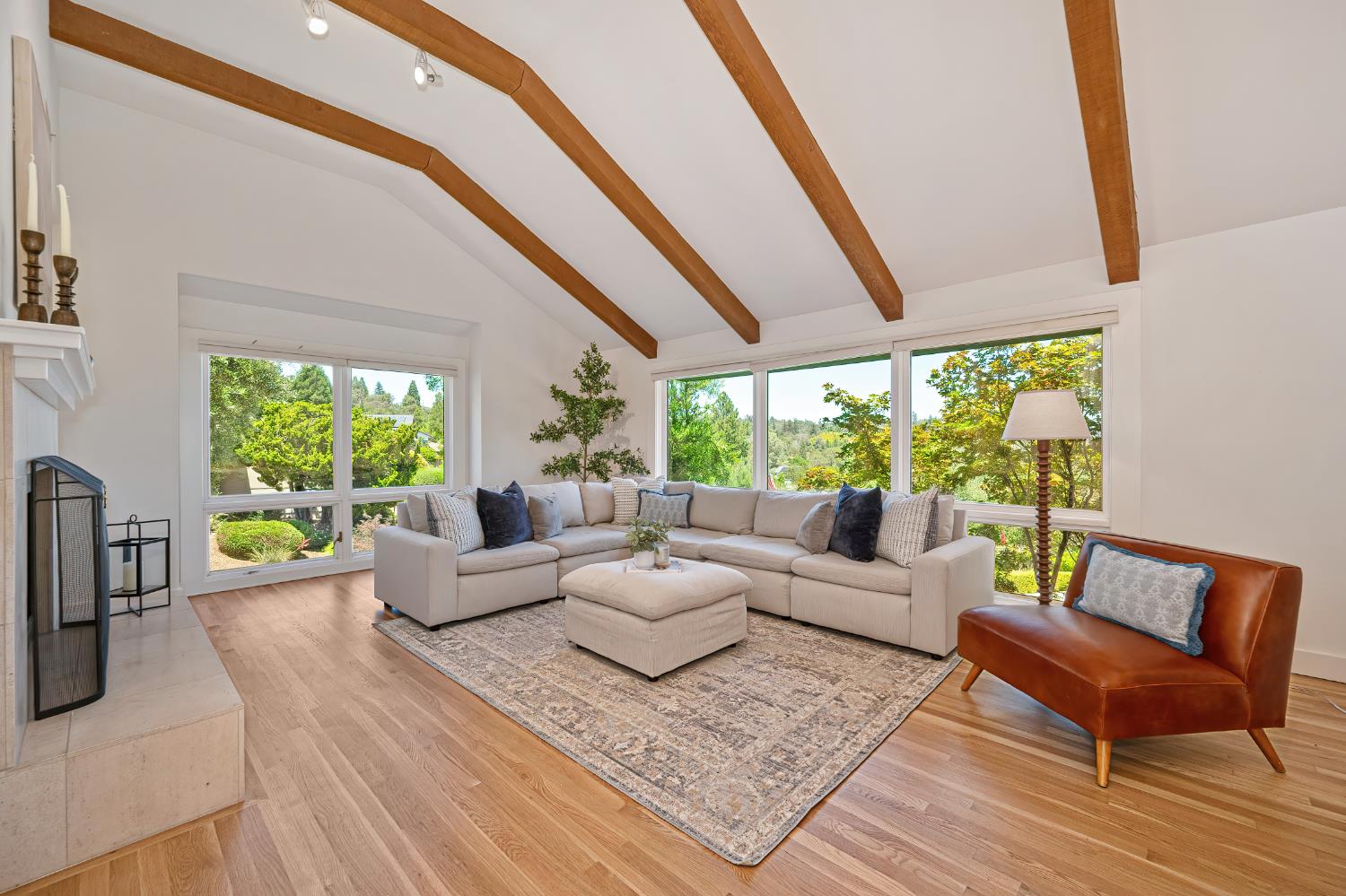 409 Olive Orchard Drive