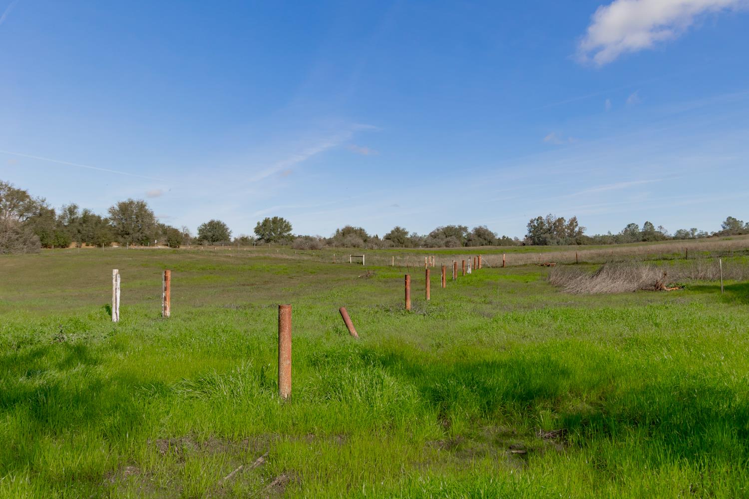 260 State Highway 16