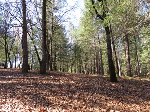 0 Forest Lake Place Colfax CA 95713