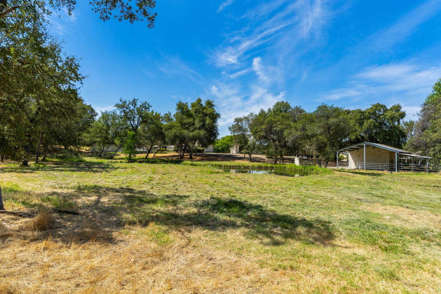 7845 Jeannie Court