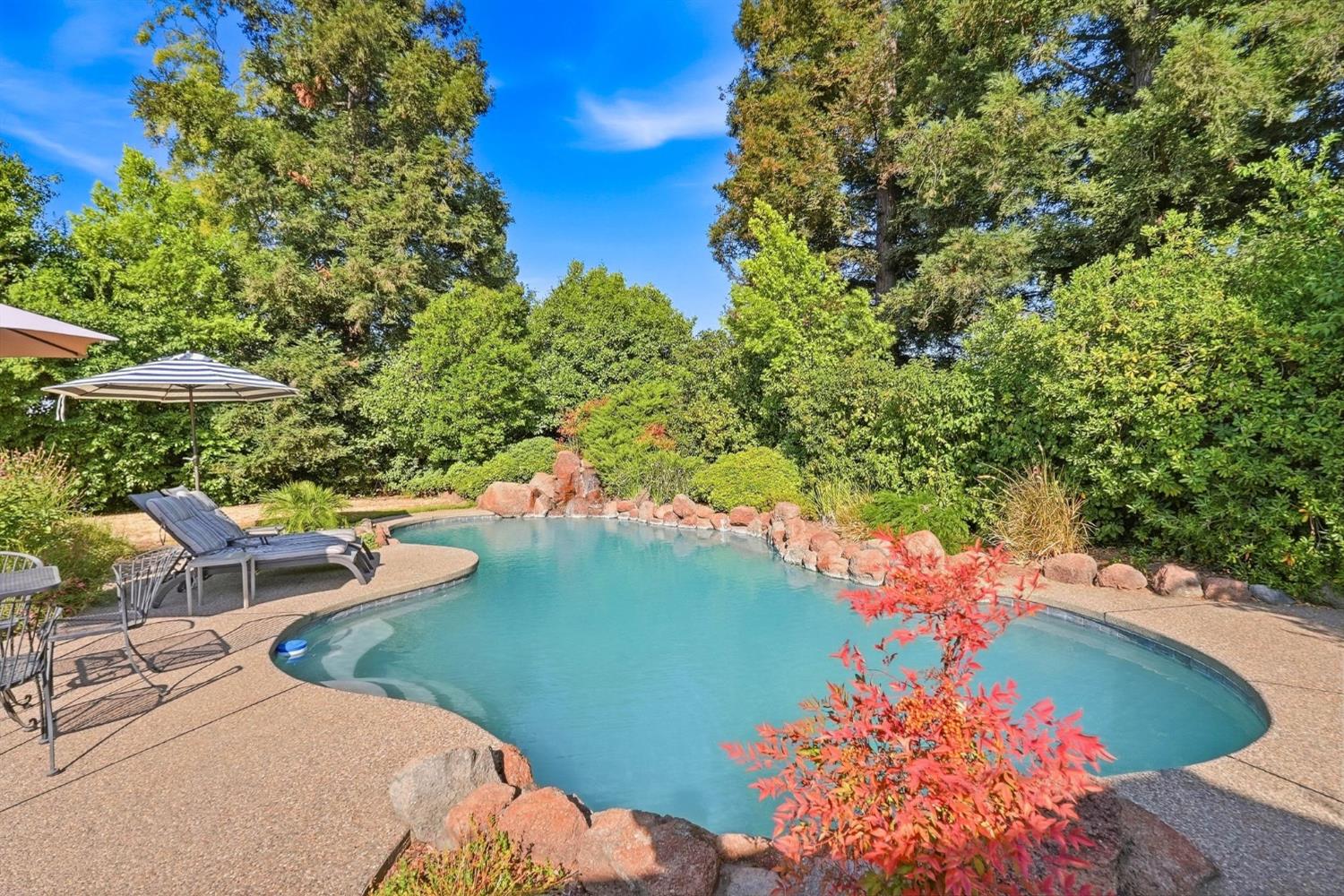 1204 Hot Springs Court