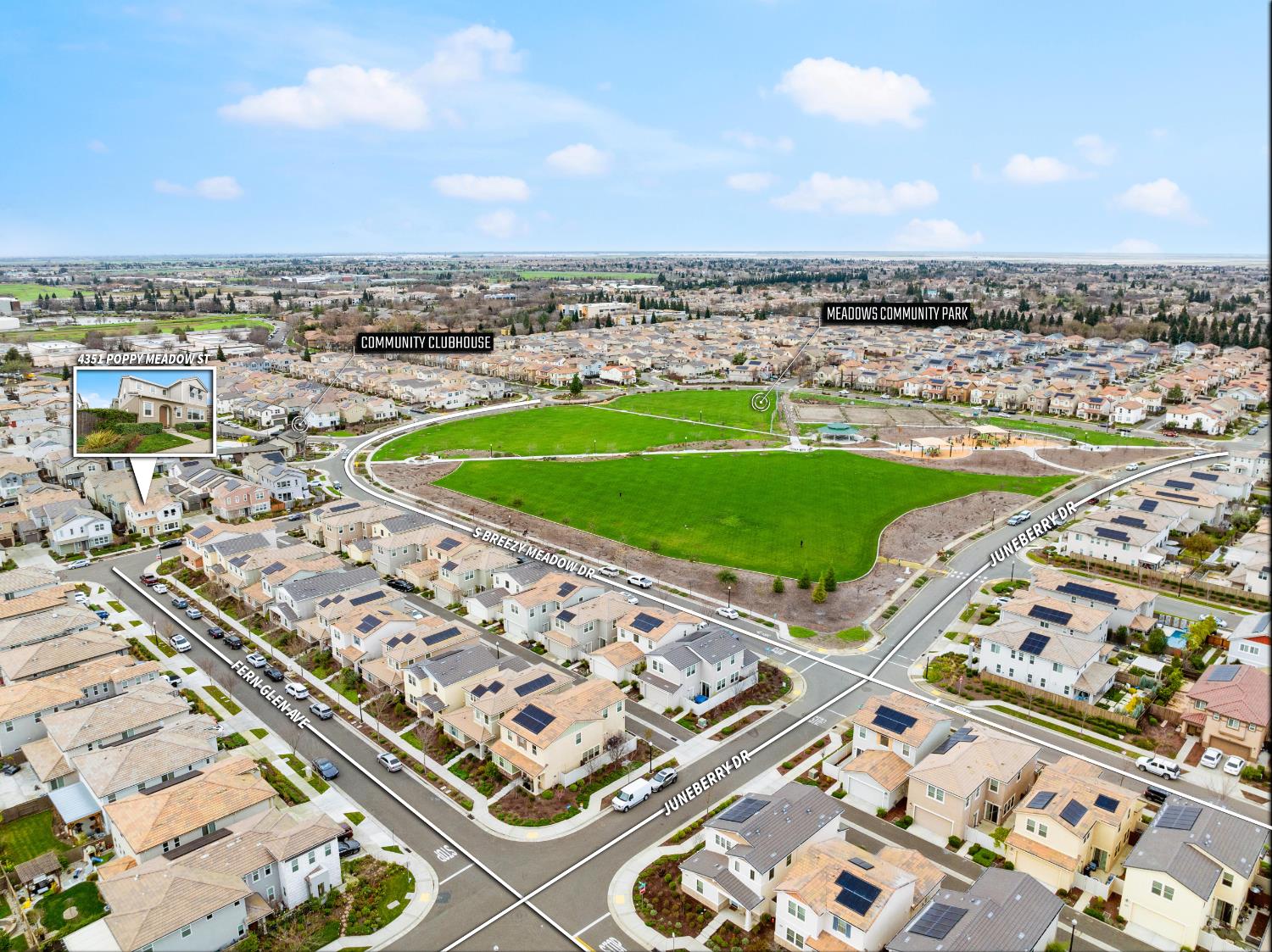 4351 Poppy Meadow Street