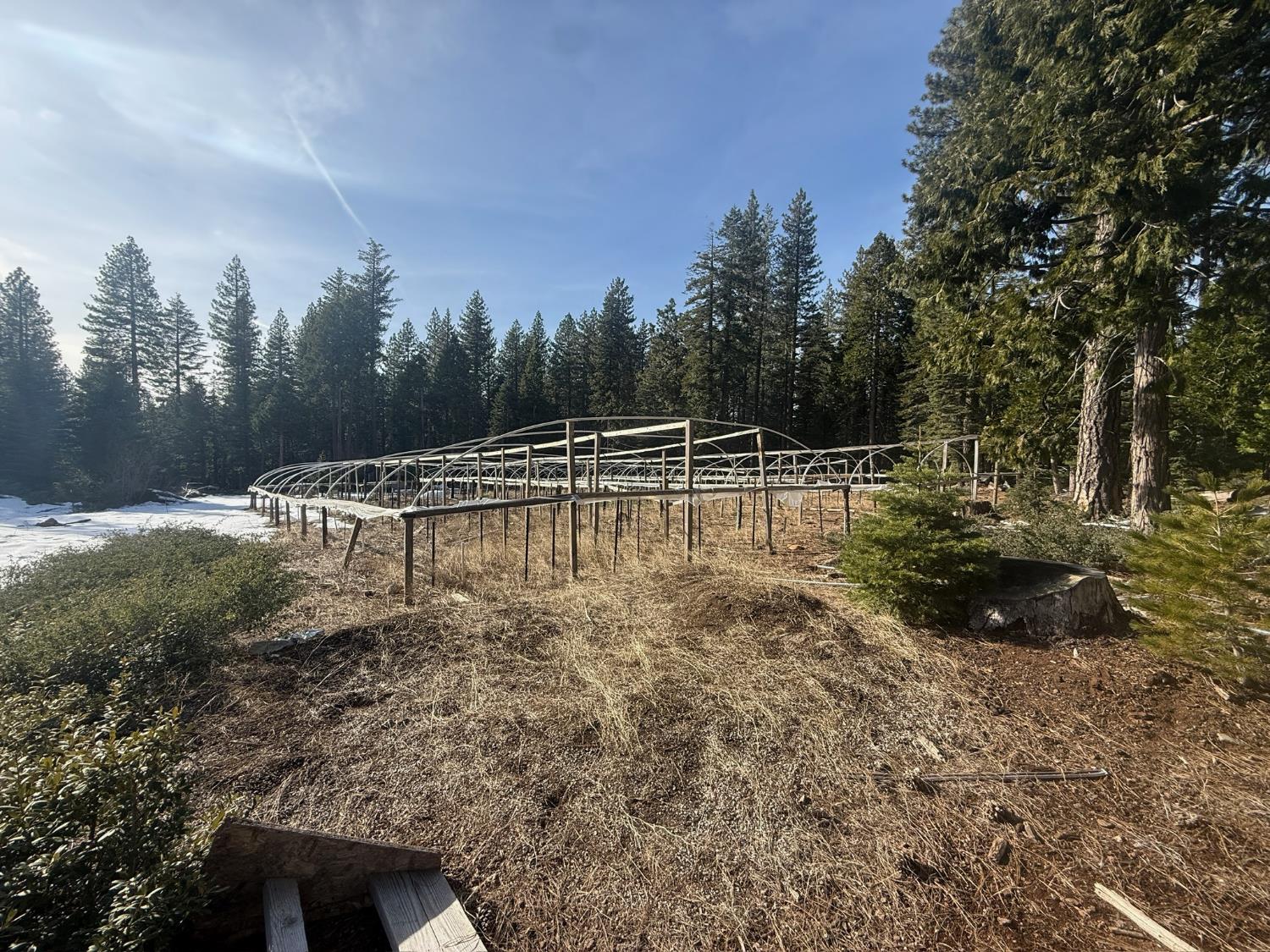 30082 Buckthorn Lane